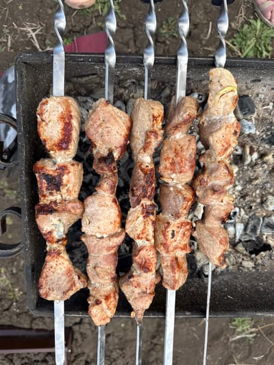 The image shows four skewers of meat cooking on a barbecue grill. The meat appears to be pork, judging by its color and texture. The skewers are metal and have a twisted handle on one end. The grill is black and sits on top of a bed of charcoal embers. The background shows grass and some indistinct objects. The location is Granovshchina, Russia.