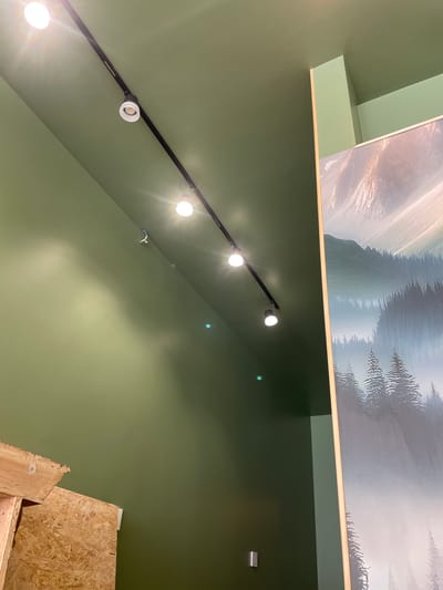 The image shows an interior scene with a green painted ceiling and walls. A black track light system is installed on the ceiling, with several track lights. On the right side of the image, a large framed artwork featuring a mountainous landscape with trees is partially visible. In the lower left corner, some construction materials, possibly plywood and wood beams, are present. The scene appears to be a commercial or public space. There is no visible indication of the city of Meaux, France.