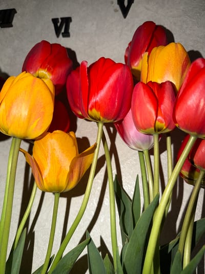 The image shows a cluster of tulips in red and yellow hues, their stems and leaves extending to the right side. The flowers rest on a surface with what appears to be blurred lettering or characters, possibly from a clock face. The scene is lit with a direct light source, casting shadows of the flowers and stems onto the surface. There is no indication of the city of Staraya, Russia in the image. No people are visible.