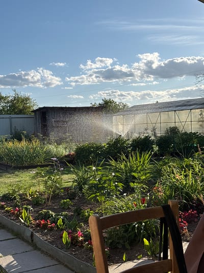 A vertical, slightly tilted, sunlit outdoor shot shows a garden with a greenhouse in the background. The garden is filled with lush green plants, some with red and pink flowers. A sprinkler is actively watering the plants, creating a fine mist that catches the sunlight, forming a subtle rainbow effect. The greenhouse, with its transparent covering and metal frame, extends across the middle ground. Beyond the greenhouse, a glimpse of a wooden structure is visible. The sky is a bright blue with scattered white, puffy clouds. To the right, a wooden chair is partially visible, suggesting someone is observing or enjoying the garden. The lighting indicates it is daytime, likely late afternoon given the warm sunlight. The scene conveys a sense of peaceful domesticity and the care of a garden.
