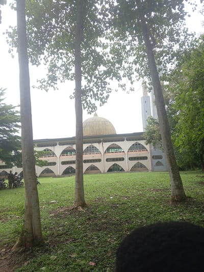 The image shows a building with a dome and a tall tower, likely a mosque, situated in a grassy area with several large trees in the foreground. The building features a distinctive architectural style with arched windows and decorative elements. In the background, a portion of a modern, tall building or tower is visible, extending above the mosque's dome and minaret.

In the left portion of the image, a few people are gathered around several motorcycles. The individuals are dressed in traditional attire, suggesting a cultural context. The overall setting appears to be outdoors, possibly a campus or public space, with the building as the central focal point. The grass is well-maintained, and fallen leaves are scattered across it, indicating it might be autumn or a similar season.

The sky is overcast, suggesting a cloudy or hazy day, and the lighting is diffused, with no strong shadows. The presence of lush greenery and the style of the building suggest a location in a warm climate. The image is taken from a low angle, looking up at the building through the trees. The foreground is partially obscured by a dark, out-of-focus object, possibly the head of the person taking the photo.

There is no visible text in the image. The scene appears calm and uneventful, with a focus on the architecture and the natural surroundings. The presence of people and motorcycles suggests everyday activity rather than a specific event. The overall mood is serene and somewhat muted due to the cloudy weather.