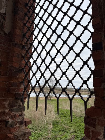 The image presents a view looking out through a robust, dark wrought-iron grate set within an old, weathered brick opening. The brickwork, a mix of reddish-brown and darker tones, forms the frame of the window or archway, showing signs of age and rough texture.
The grate itself features an intricate, repeating pattern of connected diamond or quatrefoil shapes, with thick, seemingly twisted or hammered metal bars. The design is decorative yet sturdy, suggesting historical architecture, possibly from a fortress or ancient building.
Beyond the grate, an overcast daytime landscape unfolds. The sky is a uniform light grey, indicating cloudy weather. Immediately outside, beneath the grate, a vibrant patch of green ground cover or grass is visible, suggesting a field or open area. Further into the distance, a body of water, possibly a river or lake, stretches horizontally. Its surface reflects the muted light of the sky. Along the far bank of the water, several bare trees with fine, skeletal branches are discernible, suggesting a season like late autumn or early spring. In some areas, sparser, dry vegetation or bushes are also present.
No people or activities are visible in the scene. There is no discernible text. The overall atmosphere is tranquil and historical, set in a rural context in Staroe Rakomo, Russia.