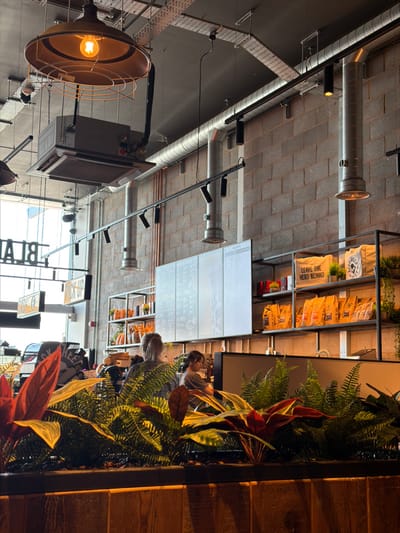 This image depicts the interior of a commercial establishment, likely a cafe or restaurant, in Bretton, United Kingdom. The scene features an industrial-chic design, characterized by an exposed light grey concrete block wall, dark grey ceiling, and visible metallic ductwork and electrical conduits overhead.
On the ceiling, a large, dark-toned industrial pendant light with an exposed filament bulb and a wire cage hangs prominently on the left. Below it, a grey rectangular HVAC unit is visible. Numerous black track lights are mounted on horizontal rails, and two large, cylindrical metallic ventilation shafts descend along the brick wall.
In the mid-ground, a service counter extends horizontally. Behind it, two female individuals are present: one with light hair, seen from behind, wearing a plaid shirt; and another with dark hair, partially facing left, wearing a grey top. Above the counter, affixed to the brick wall, are several white menu boards with dark text, some partially obscured. To the left, a "PICK-UP" sign and another sign featuring an orange pumpkin are visible. To the right of the menu boards, a black metal shelving unit displays retail items, including white tote bags with text such as "LEAVE THE HERD BEHIND," and multiple yellow/gold packaged bags. Small potted plants adorn the shelves.
The foreground is dominated by a dark wooden planter box filled with dense green and reddish-green foliage, primarily ferns and broad-leafed plants, partially obscuring the view of the counter and individuals. Natural light enters from a large window or doorway on the far left.
