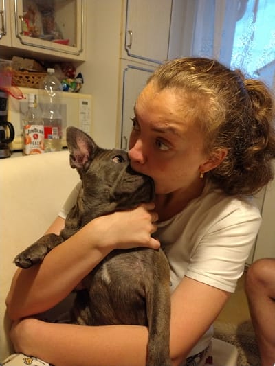 In an indoor kitchen setting, a young Caucasian female with brown hair pulled back in a ponytail is holding and kissing a small grey French Bulldog. The woman is wearing a white t-shirt. The dog is positioned in her arms, and its head is pressed against the woman's face. In the background, kitchen cabinets are visible, some with glass doors containing food items. A microwave and various bottles, including one labeled "Jim Beam Peach," are present on a shelf. The scene appears to be in the city of Dobev, Czechia.