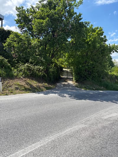 The image depicts an outdoor scene featuring a paved asphalt road bordered by lush green vegetation under a blue sky. The road runs along the right side of the frame, characterized by a dark gray, textured surface. Distinct shadows of tree branches and leaves are cast across the road, indicating bright sunlight, likely during midday or early afternoon.

To the left of the road, dense, vibrant green trees and varied foliage form a thick canopy. A metal gate, dark in color, is visible within the treeline, suggesting an entrance to a hidden path or property. The ground between the road and the trees shows patches of grass and some dried undergrowth. The upper left portion of the image reveals a clear blue sky dotted with scattered white, wispy clouds.

No people or animals are present, and no specific activity is occurring. The scene conveys a sense of tranquility and natural beauty. A dark, angular structure is partially visible at the bottom left corner, obscured by foliage. No discernible text appears in the image. The setting suggests a rural or semi-rural environment, consistent with Camerino, Italy.