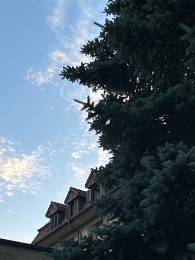 This is a low-angle shot of a building and a tree, with the sky visible in between. The building is a multi-story structure with a distinctive architectural style, featuring several triangular roof sections and balconies. It appears to be made of wood and possibly stone. The tree, which looks like a conifer, has dark green needles and branches that hang down, obscuring part of the sky and the building. The sky is a clear blue with scattered white, wispy clouds. The overall impression is one of a serene, possibly late afternoon or early evening scene, given the gentle lighting. There is no text visible in the image. The perspective creates an interesting interplay between the organic shapes of the tree and the man-made structure of the building against the backdrop of the sky.