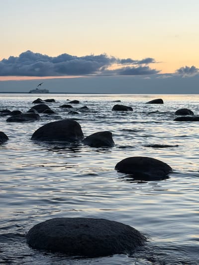 The image depicts a serene seascape at dusk in Haabneeme alevik, Estonia. The foreground is dominated by dark, smooth rocks emerging from calm, rippling water. The water reflects the soft, pastel hues of the twilight sky. In the mid-ground, more rocks are visible, scattered across the surface of the water, some partially submerged. In the distance, a large ferry navigates the horizon under a dramatic, cloud-filled sky. A lone bird, likely a seagull, soars in the sky above the ferry. The overall atmosphere is peaceful and tranquil, capturing the essence of an Estonian coastal evening.