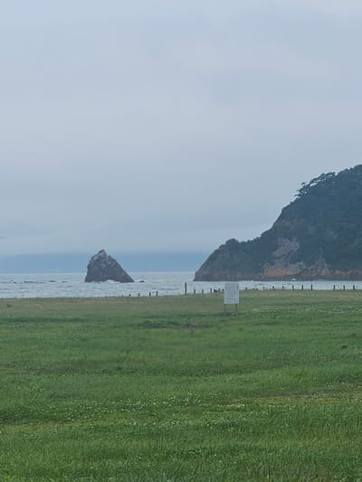 The image captures a panoramic view of a coastal landscape under an overcast sky. In the foreground, a lush green grassy field stretches towards the sea, dotted with small white flowers. A white sign with text is partially visible in the middle ground, flanked by several wooden posts. The sea is moderately choppy, with waves breaking against a prominent, triangular rock formation rising from the water to the left of the frame. Further to the right, a verdant, tree-covered hill slopes down towards the water's edge, showcasing rugged terrain. The overall scene suggests a natural, undeveloped coastal area, possibly a park or a nature reserve. The location is identified as Fokino, Russia, a city known for its scenic coastal beauty and natural reserves.