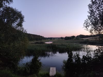 This is a horizontal, wide-angle, eye-level, medium shot photograph of a tranquil natural landscape at dusk, potentially near the village of Garadzishchanski Sel'ski Sovet, Belarus. The sky transitions from a pale blue at the top to a soft pink and lavender hue near the horizon, indicating the twilight hours.
In the foreground, the dark, still water of a pond or small lake is visible, partially covered with green algae. A simple, light-colored wooden pier extends a short distance into the water from the lower center of the frame. Dense, dark green foliage, including trees and reeds, frames the water body on the left, right, and in the background, creating a sense of enclosure and depth.
The middle ground features a wide expanse of tall, green reeds growing along the edge of the water and extending into the distance. Beyond the reeds, a gently rolling landscape is visible, characterized by scattered trees and open fields, bathed in the muted light of the setting sun. The overall atmosphere is serene and peaceful, with no human presence or activity depicted.