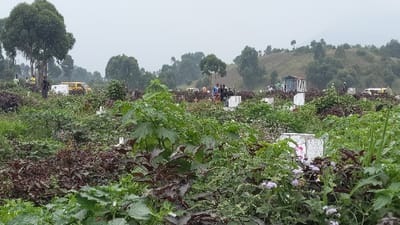 A verdant cemetery with overgrown greenery in the foreground obscures many of the gravestones. Further back, clusters of people stand among the graves, near a shed. Vehicles, including a yellow van, are also present. Trees and rolling hills fill the distant background beneath an overcast sky. The overall atmosphere is one of peaceful neglect.
