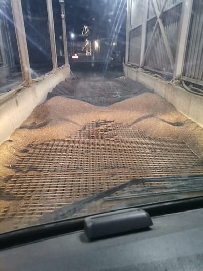 The view from inside the cab of a vehicle shows a grate covered in grain. The grain is piled high on either side of the grate. The vehicle's windshield and a wiper are visible. Through the windshield, the scene continues into the night. Visible are concrete structures with metal siding, possibly agricultural buildings. In the distance, lights suggest another vehicle or equipment. The location is presumed to be Razdelna, Bulgaria. No people are visible.