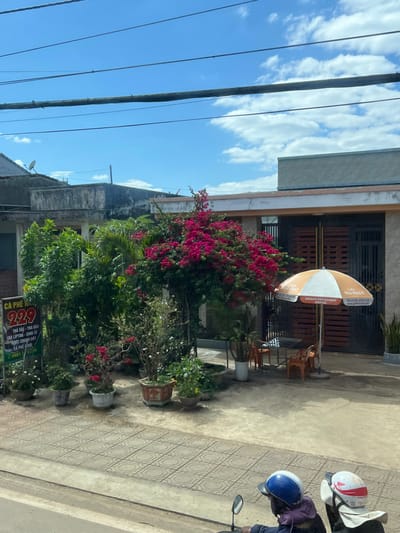A building with a dark brown shutter door and a faded orange umbrella outside. A large bougainvillea bush with vibrant pink flowers grows near potted plants. A motorcycle with two helmets parked nearby. A sign reads "CA PHE 229", with the words "TRÀ LIPTON" and "CA PHE" underneath. Electrical wires cut through the blue sky with fluffy white clouds. The sidewalk is tiled with a geometric pattern.