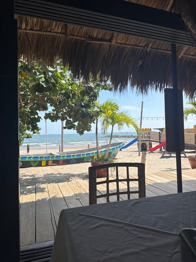 View from inside a thatched-roof structure. Outside, a beach scene with palm trees, vegetation, and a playground structure on the sand. Ocean visible beyond the beach. A table and chair are partially visible inside the structure. This appears to be in the city of Veracruz, Mexico.