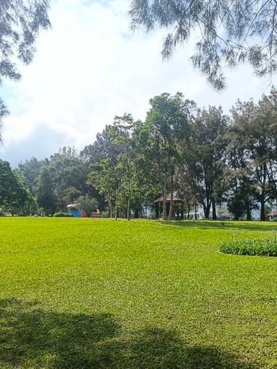 A verdant lawn occupies most of the frame, partially shadowed in the foreground. Various trees line the background, including lighter green deciduous trees and darker, pine-like evergreens. A small, colorful building and a gazebo are nestled amongst the trees. The sky is visible through breaks in the foliage, exhibiting a partly cloudy condition. Branches overhang from the top of the image.
