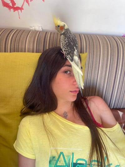 An overhead, slightly angled shot captures a woman lying on her back, her head resting on a mustard-yellow cushion. Her long, dark brown hair spills around her head and over the cushion. She wears a bright yellow short-sleeved t-shirt with a green graphic design, and a red bra strap is visible beneath her left shoulder. A small, intricate tattoo resembling a stylized knot is visible on her left collarbone. Her face is turned slightly towards the viewer, with a calm, neutral expression.
Perched on the crown of her head is a cockatiel, a small parrot with distinctive grey and white speckled feathers, a bright yellow crest, and an orange patch on its cheek. The bird's tail feathers extend towards the woman's forehead.
The woman and bird are situated on a large cushion or mattress covered in horizontal stripes of various shades of brown, grey, and white. To the left, a plain white wall is visible, adorned with abstract red markings. A crumpled white tissue is lodged in the crevice where the striped cushion meets the wall. The scene suggests a tranquil, indoor moment, likely during the daytime.