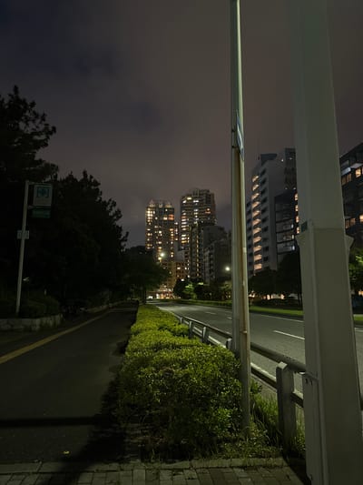 A nighttime exterior shot captures a street scene in Chiba, Japan. In the foreground, a dark asphalt pathway runs along the left side of the frame, bordered by a low stone wall and dense green shrubbery. Further to the right, a multi-lane road with white lane markings is visible, separated from the pathway by a metal guardrail and more manicured bushes. Tall, illuminated apartment buildings rise in the background, their windows glowing with warm light, indicating urban density. Trees are scattered throughout the scene, casting shadows in the dim light. A tall, slender metal pole with a blue sign is positioned near the center of the frame, partially obscuring the view of the buildings. The sky is overcast and dark, suggesting nighttime or heavy cloud cover. A green sign with a white cross is affixed to a pole on the left side of the pathway, possibly indicating a medical facility or park entrance.