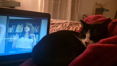 An indoor scene depicts a black and white cat sleeping next to an active laptop. The image does not provide specific visual cues to identify a precise location within Châtelaillon-Plage, France.
In the foreground, a dark-colored laptop is positioned on the left. Its screen displays a video featuring a woman with dark hair wearing a light-colored, possibly white, top. She is gesturing with both hands raised, and behind her, a bookshelf filled with books is visible. Subtitle text, partially visible in French as "parle toujours de pens...", appears at the bottom of the screen.
To the right of the laptop, a black and white cat is curled up and appears to be sleeping. Its head, featuring prominent white fur on its snout and chest, is resting on a dark pink or fuchsia-colored blanket or throw that partially covers its body. The cat's eyes are closed, and long white whiskers are visible.
The background shows a bed with a light-colored sheet patterned with a dark, wavy design, resembling an animal print. Further back, light-colored curtains are visible, suggesting a window. The environment is dimly lit with warm tones.