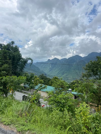 The image depicts a mountainous landscape in Lùng Tám Commune, Vietnam, under a cloudy sky. In the foreground, dense green vegetation and tall grasses line a paved road. A few trees are also visible, with power lines crisscrossing the scene. Beyond the road, buildings with green roofs are partially obscured by foliage. The middle ground features a valley with rolling green hills and smaller mountains, leading to a range of larger, mist-shrouded mountains in the distance. The overall impression is one of a rural, natural environment.