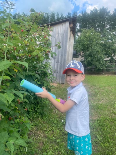 A young boy, wearing a white polo shirt, blue shorts with a repeating pattern, and a blue and red baseball cap, stands outdoors and smiles at the camera. He is holding a blue toy water gun with a pink attachment. He is positioned in front of a raspberry bush laden with red berries. Behind him, a rustic wooden shed stands against a backdrop of green trees and a cloudy sky. The ground is covered in grass. The scene is set in a rural or semi-rural environment, possibly in or near Bormist, Russia, as suggested by the surrounding vegetation and the style of the shed.