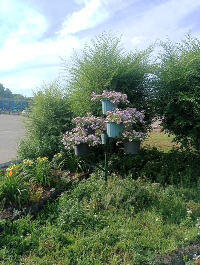 The image depicts an outdoor scene in Atbasar, Kazakhstan, featuring a tiered planter with pink flowers in blue and grey pots. The planter is situated in a garden bed with yellow and orange flowers and various green plants. Behind the planter and flower bed, lush green bushes and trees form a dense backdrop. To the left of the scene, a grey asphalt area, possibly a parking lot or sports court, is visible, with a blue fence and some indistinct structures in the distance. The sky above is partly cloudy with a bright blue hue. The overall impression is one of a well-maintained public or private garden space, likely during daytime on a clear or partly cloudy day.