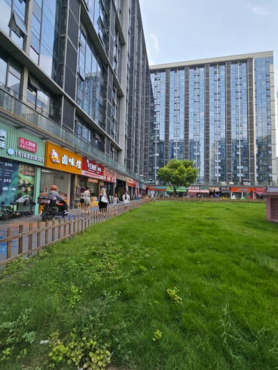 This image captures a street-level view of a commercial area in Linping District, China, likely in the late afternoon or early evening. The scene is dominated by a modern, multi-story building with a glass facade, reflecting the bright sky. In front of the building, a row of businesses, primarily restaurants, line the sidewalk. These establishments feature colorful signage, with visible text in Chinese. One sign, in particular, advertises "Cloud Home Delivery" (云上到家) and a phone number. Another sign displays a cartoon duck and text that appears to be related to a restaurant called "Wangjia" (王家).

Adjacent to the businesses is a vibrant green lawn, suggesting a well-maintained urban park or green space. Several people are visible, some walking along the sidewalk and others seemingly engaged in activities near the shops. A few electric scooters are parked, indicating common modes of transportation in the area. The overall impression is one of a bustling urban environment with a blend of modern architecture and accessible amenities. The lighting suggests daylight, possibly transitioning towards evening given the presence of some artificial lights within the shop fronts. The weather appears clear.
