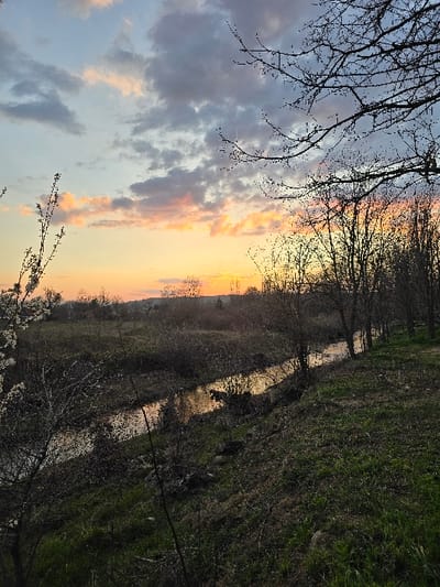 The image depicts an outdoor environment at sunset in the vicinity of Vojnik, North Macedonia. The upper frame shows a sky with scattered clouds displaying orange, pink, blue, and grey coloration. A low sun is discernible on the horizon, manifesting as an intense orange luminescence, partially obscured by distant land features. A narrow, dark body of water, consistent with a stream or canal, extends from the mid-left towards the mid-right, reflecting the orange light from the sky. The immediate banks of this waterway are covered by dense, dark, leafless deciduous trees and bushes. To the right of the water, a grassy embankment slopes upwards and extends into the right foreground. Bare tree branches, indicative of deciduous trees in an dormant state, are present in the foreground, framing the upper and left periphery of the scene. No persons or distinct man-made structures are observed.