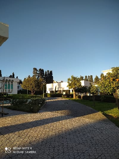 The image displays an outdoor scene captured in a landscape orientation, though the original file is rotated 90 degrees clockwise. When viewed correctly, it shows a pathway bordered by green lawns and white buildings, under a clear blue sky.
The upper portion of the image is dominated by a bright, cloudless blue sky, suggesting clear weather. In the mid-ground, several white, modern-style buildings are visible, characterized by their clean lines and flat roofs. These buildings are surrounded by lush green grass and various trees and bushes. Some of the trees, particularly in the upper left corner of the correctly oriented image, appear to be citrus trees laden with small orange fruits. Other trees have dense green foliage.
A wide, paved pathway extends from the foreground on the right side of the image into the mid-ground. The pavement features a distinct, repeating geometric pattern, possibly composed of interlocking stars or hexagons, in shades of grey. A prominent, long, and dark shadow stretches diagonally across the pathway from the left, indicating that the sun is low in the sky, likely either early morning or late afternoon. The overall lighting is warm, giving a golden hue to parts of the scene.
In the bottom right corner of the correctly oriented image, there is white text overlaid on the scene, which reads:
"REDMI NOTE 8"
"AI QUAD CAMERA"
Below this text is a small icon resembling a camera lens or a concentric circle design.
The scene conveys a sense of tranquility and order, typical of a well-maintained residential area, hotel grounds, or resort complex. No specific activities or people are visible in the frame.