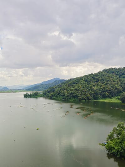The image depicts a serene, expansive view of a large body of water in Rupakot, Nepal. The water's surface is calm and reflects the overcast sky, which is filled with a textured layer of grey and white clouds. In the foreground, the water is a muted green, with scattered aquatic plants and what appear to be aquaculture cages or floating platforms.
Dominating the right side of the frame is a lush, densely forested hillside that slopes down to the water's edge. The trees are a vibrant green, creating a rich, verdant landscape. On the far left of the image, the water extends towards a distant shoreline where rolling hills and some cultivated land are visible, interspersed with a few scattered buildings, suggesting a small settlement. Further in the distance, a series of mountain ranges fade into a hazy blue, indicating a vast and expansive geographical setting.
At the lower right corner of the image, a small cluster of trees grows at the water's edge, and a small blue boat with a few people is docked among the foliage. The overall impression is one of natural beauty and tranquility, characteristic of the landscapes found in Rupakot, Nepal.