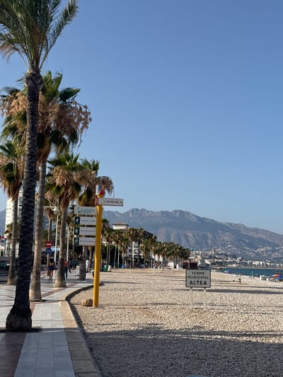 The image shows a view of a beach and promenade in L'Alfàs del Pi, Spain. In the foreground, there is a wide promenade with a tiled walkway on the left and a pebble beach on the right. Several palm trees line the promenade, casting shadows on the walkway. A yellow directional signpost stands on the promenade, with multiple signs indicating directions to "L'ALFAS DEL PI", "Casa Blanca", and "Turismo L'Alfàs", as well as social media handles. Further down the promenade, a sign reads "TERME MUNICIPAL ALTEA".

In the background, the coastline stretches out, with buildings and mountains in the distance. The sea is visible on the right side of the image, with a few beach umbrellas and people scattered on the beach. The sky is clear and blue.

The scene depicts a sunny day in a coastal town, with elements of tourism and local amenities. There are a few people walking on the promenade, and some are visible on the beach in the distance. The overall atmosphere is relaxed and characteristic of a vacation destination.