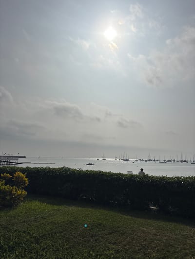 The image depicts a serene waterside scene, likely in La Punta, Peru. A man is seated on a chair facing the water, with a dense green hedge in the foreground. The calm ocean stretches out, dotted with numerous sailboats anchored in the distance. The sun shines brightly, creating a shimmering effect on the water's surface. A pier extends into the water on the left side of the frame, featuring white structures and railings. The sky is partly cloudy, with the sun partially obscured by the clouds. The overall atmosphere is peaceful and tranquil.