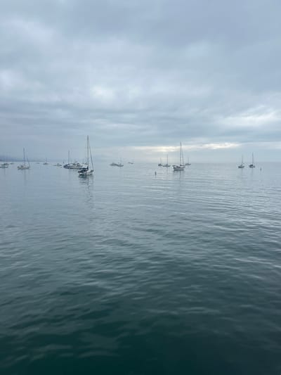 This image displays a wide view of a coastal anchorage in Santa Barbara, United States, under an overcast sky. The water, calm with subtle ripples, occupies the foreground and mid-ground. Approximately 25 to 30 vessels are dispersed across the water, predominantly sailboats distinguished by their tall masts, along with several smaller motorboats. All vessels appear to be stationary, likely moored or at anchor, with no sails deployed. Two dark, cylindrical buoys are visible in the mid-ground. A faint, hazy landmass, consistent with coastline or mountains, is discernible in the distant background, primarily on the left horizon. No individuals, explicit actions, or interactions are visible.