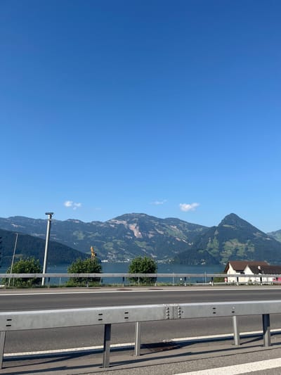 The image displays a daylight scene of the Lake Lucerne (Vierwaldstättersee) area in Buochs, Switzerland, characterized by a prominent foreground highway section and a mountainous background.
In the immediate foreground, a grey metal guardrail with bolted connections extends horizontally across the lower third of the frame. Behind the guardrail, an asphalt road surface with white painted lane markings is visible. Shadows from the guardrail and an unseen object are cast upon the road.
Beyond the road, a narrow strip of green vegetation precedes a large body of water, Lake Lucerne. Scattered small white objects, likely boats, are present on the lake's surface. Three distinct, rounded green bushes are positioned along the lake's edge. A tall, light-grey pole with a dark, square device mounted at its apex (resembling a surveillance camera or sensor) stands left of center. A partial yellow structure is visible behind the central bush.
The background consists of multiple layers of dark green, forested mountains, consistent with the Swiss Alps topography surrounding Buochs. Some mountain slopes exhibit lighter, possibly rocky or cleared areas. A sharp, pointed mountain peak is discernible on the far right. Situated between the lake and the mountains on the right side of the image are several structures with light-colored walls and reddish-brown tiled roofs, indicative of lakeside buildings within the municipality of Buochs. The sky is clear and deep blue, with two small, sparse white clouds present above the distant mountains. No individuals are visible, and no dynamic actions or interactions are depicted.
