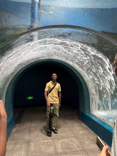 A young Black male stands centrally within an arched glass tunnel, smiling directly at the camera. He is positioned under a clear glass structure where water cascades from overhead, creating a continuous waterfall effect down both sides of the arch. He wears a mustard yellow polo shirt with white trim, olive green cargo pants, and black slides, carrying a folded black umbrella in his left hand and a black cross-body bag over his right shoulder. The tunnel's interior is dark blue, framed by a greenish-blue border, and features a green illuminated "出口" (exit) sign with an arrow pointing left on the far wall. The floor consists of light grey square tiles. Partially visible on the left is a blurred arm, while on the right, a person's hand holds a rectangular device, likely a phone, pointing towards the central subject. This scene is identified as occurring within the Qingdao Underwater World, located in Shinan District, Qingdao, China.