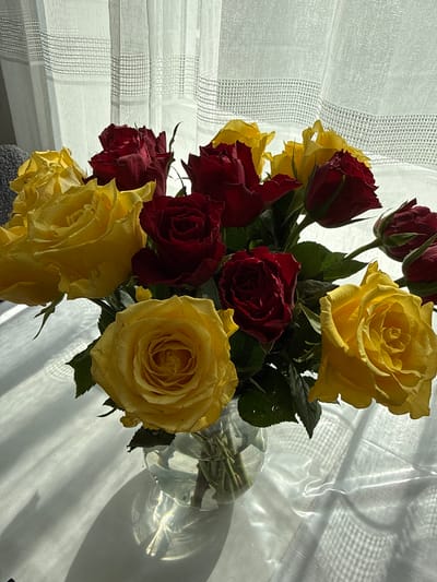 A bouquet of yellow and red roses is arranged in a clear glass vase. The vase sits on a white surface covered by a patterned tablecloth or sheet, which is partially translucent and allows light to shine through, creating shadows. Behind the vase, a white curtain with a horizontal striped pattern is visible. The lighting suggests the scene is indoors, possibly near a window, as evidenced by the bright light and distinct shadows cast on the surface. The setting does not provide any specific cues to indicate it is located in Wolfsburg, Germany.