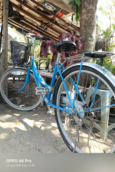A blue bicycle is parked under a makeshift shelter with a corrugated roof, supported by wooden posts. The bicycle has a black wire basket on the handlebars, filled with dark-colored items. A black saddle with visible springs sits atop the frame. The rear wheel of the bicycle is prominent, showing a silver fender with a decorative blue swirl pattern. The ground is covered in sand and small stones, with dappled sunlight casting shadows. In the background, a tree trunk is visible, along with foliage and what appears to be another bicycle or piece of furniture. A light blue plastic chair is partially visible behind the rear wheel of the bicycle. The scene is set in an outdoor area, likely a yard or alley, with evidence of agricultural or rural surroundings. The image includes a timestamp in the lower left corner indicating "OPPO A6 Pro" and "25 Juni 2026 pukul 13.30."