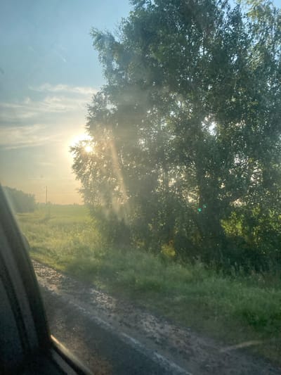 The image depicts a sun-drenched scene, likely taken from inside a vehicle, as suggested by the dark frame on the right side. The sun is prominently visible, shining through the leaves of a lush tree on the left side of the frame, casting rays of light that create a dappled effect. The overall impression is one of a bright, perhaps slightly hazy, day.
To the right of the tree, there is a grassy area with tall green vegetation, suggesting a rural or natural setting. Further in the background, a field extends, with hints of trees or bushes lining its edges. A power line with insulators is visible in the distance, a common feature in many landscapes. The ground to the right of the grassy area appears to be a dirt or gravel path, possibly wet or muddy, with some lighter-colored patches.
The sky is a light blue with wispy white clouds, indicative of fair weather. The quality of light suggests it could be early morning or late afternoon, given the angle of the sun and the warmth of the illumination. The overall mood conveyed is peaceful and serene, with the sunlight creating a sense of warmth and natural beauty.
There is no visible text in the image. The location context provided is Rubtsovsk, Russia, which aligns with the rural landscape depicted. The image captures a moment of natural beauty, focusing on the interplay of light and foliage in an outdoor environment.