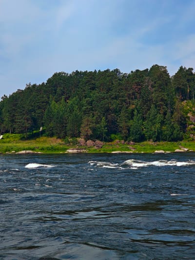 This is a vertical, eye-level, medium-range shot of a wide, dark river with choppy water in the foreground. The river flows from right to left, with several small whitecaps. In the mid-ground, a rocky shoreline is visible, with some grass and boulders. Behind the shoreline, a dense, green forest covers a hillside. The trees are predominantly pine and fir, with some lighter green deciduous trees interspersed. The sky is a light blue with scattered white clouds. The location is the city of Porog, Russia. There are no people or animals visible in the image.