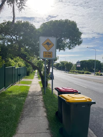 The image, originally rotated 90 degrees clockwise, displays a sunlit suburban street scene, likely in Riverhills, Australia. The foreground features a concrete sidewalk bordered by a grassy verge and a dark green metal fence on the left.

A prominent road sign stands on the grassy verge. It is a white rectangular sign with a green border, featuring a yellow diamond with a black silhouette of a kangaroo, indicating a wildlife crossing. Adjacent to this, a yellow rectangular panel within the sign displays the text "SLOW DOWN" in black capital letters.

Further along the road, on the right side of the frame, two wheelie bins are positioned on the edge of the grassy area next to the asphalt road. The bin closer to the viewer has a dark green or grey body with a bright yellow lid, and a faint white number "0300258" is visible on its side. Partially obscured behind it is another wheelie bin with a red lid.

The street is lined with mature green trees, casting gentle shadows across the sidewalk and road, suggesting the time of day is either morning or late afternoon. The sky above is clear with scattered white clouds, indicating fine weather. In the distance, more trees, a streetlight, and signs for what appear to be commercial establishments are visible. The scene is devoid of people or moving vehicles, capturing a quiet moment on a residential street.