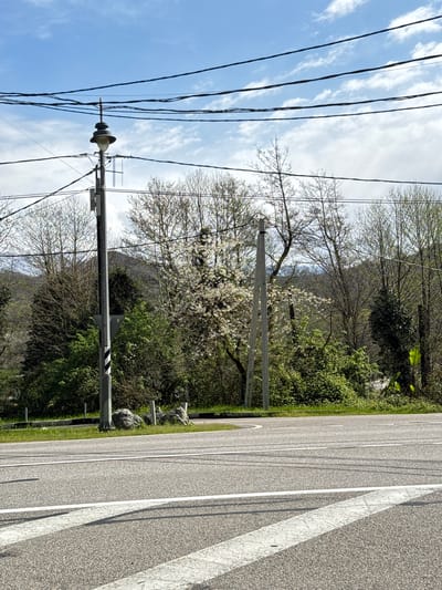 The image depicts a rural road scene. The road is made of gray asphalt and features white lane markings. To the right of the road is a verge covered in green grass and various shrubs and trees. Some small boulders are spaced along the edge of the road. On the left, a row of utility poles and power lines run parallel to the road. One of the poles has a circular structure attached to it with wires and what appears to be an antenna. Behind the trees is a hillside with a mix of bare and green trees. The sky is a mix of blue and white clouds. The scene suggests a countryside or suburban setting, but the image does not provide enough information to confirm its location in Kazachiy Brod, Russia.