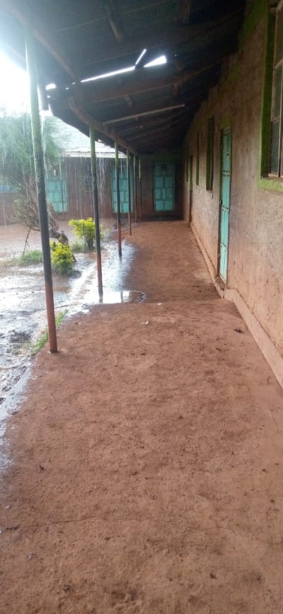 The image depicts a covered outdoor walkway or veranda adjacent to a building, with evidence of recent or ongoing rainfall. The scene is dominated by a reddish-brown, earthy tone across the ground and building walls, contrasted by light blue-green doors and window frames.

In the foreground, the ground of the walkway is primarily composed of compacted reddish-brown dirt or earth. It appears mostly dry under the cover, but small, reflective puddles are visible closer to the left edge and where water drips from the roof. The texture of the ground is uneven, showing signs of wear and loose soil.

A series of thin, dark-colored poles (possibly metal or wood) supports the roof of the walkway. These posts extend upwards, guiding the eye towards the ceiling structure. To the left of these posts, the ground is much wetter and muddier, with larger puddles reflecting the light, indicating heavy rain. Rain streaks are clearly visible falling from the edge of the roof and beyond the covered area, hitting the waterlogged ground and small, green leafy bushes. A larger, multi-stemmed tree with sparse foliage is partially visible further to the left, standing in the wet ground.

The roof over the walkway appears to be made of corrugated material, possibly metal or plastic sheeting, with visible support beams. Several bright streaks of light penetrate through gaps or openings in the roof, suggesting damage or design elements allowing some light to pass through.

On the right side of the image, the wall of the building runs parallel to the walkway. This wall has a rough, textured surface, appearing to be made of unpainted or lightly colored concrete or mud-brick, with patches of a darker, possibly damp, appearance. Along this wall, several rectangular doorways are spaced out, each fitted with a light blue-green door. These doors have a simple, panelled design. There are also smaller, rectangular windows with similar light blue-green frames, some with glass panes reflecting a soft light. Further in the background, another part of the building or a separate structure is visible, also featuring similar light blue-green doors and windows, suggesting a consistent architectural style.

The overall impression is that of a functional, possibly institutional (like a school or clinic) or residential building in a rural or semi-urban setting, experiencing a rainy day. The light is soft and diffused, consistent with an overcast sky during daylight hours. No discernible text is visible anywhere in the image.