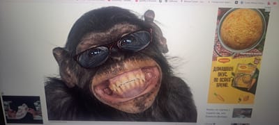 The image shows a computer screen displaying several items. The main subject is a chimpanzee wearing eyeglasses and grinning widely. To the right of the chimpanzee is an advertisement for Maggi brand "Домашен Вкус" chicken soup, which translates to "Homemade Taste". Below the soup advertisement is a snippet of a news article with Bulgarian text, likely about the consequences of a bank failure. In the bottom left corner, there's a smaller thumbnail image. The computer screen itself is also showing browser tabs at the top, with several titles. The image was taken of a computer screen and not a direct shot of the scene.
