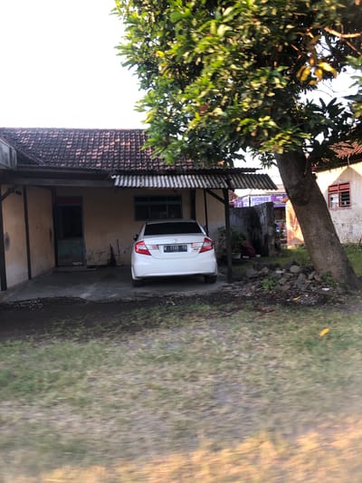 The image depicts the exterior of a single-story building with a tiled roof, possibly a house or a small shop, situated in Kalidawir, Indonesia. A white sedan is parked in front of the building. To the right of the building, a large tree with green foliage dominates the scene, with its trunk leaning towards the right. In the background, another building with a red-trimmed window is visible, and a purple sign with the word "HOREE" can be seen. The foreground is covered with grass and dirt. The scene appears to be set in daylight, with a bright sky.