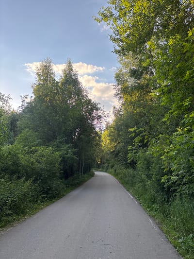 An asphalt road curves through a dense forest with lush green foliage on either side. The road appears to be a path or a quiet street, with no visible vehicles or people. Tall trees with sunlight filtering through their leaves line the road, creating a dappled light effect. The sky above is a pale blue with scattered white clouds, suggesting fair weather. The environment is predominantly natural, with a focus on the greenery of the forest and the grey surface of the road. The image is taken from a low angle, looking down the road as it recedes into the distance. The scene evokes a sense of tranquility and a connection with nature.