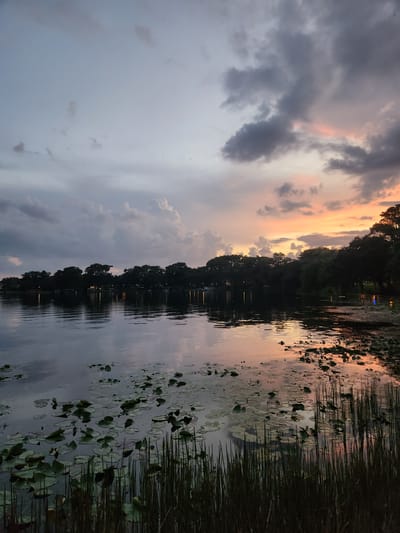 The image depicts a serene lake at dusk, with the sky painted in hues of gray, pink, and orange. The water's surface is calm, reflecting the dramatic clouds and the silhouettes of trees lining the distant shore. Lily pads and reeds are scattered across the foreground, adding texture to the tranquil scene. The setting appears to be a natural landscape, possibly a park or a natural preserve, common in areas like Winter Park, Florida, known for its many lakes and green spaces. There are no people or animals visible in the frame.