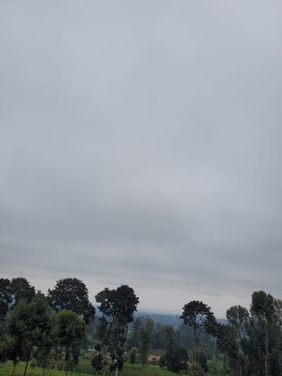 The image depicts an outdoor landscape scene located in Nkuene ward, Kenya, under an overcast sky. The upper two-thirds of the frame are dominated by a uniform light grey sky, indicative of heavy cloud cover. The lower third features a natural environment characterized by a dense assortment of trees and vegetation. Multiple large, dark-crowned trees are prominent in the mid-ground, extending across the frame horizontally. Below these larger trees, a mix of smaller trees and cultivated green fields or terraced land is visible. In the mid-ground, slightly to the right of center, a small, light-colored structure with a reddish roof is partially visible amidst the foliage. The background shows a hazy, distant landscape of hills or valleys covered in further vegetation, fading into a blue-grey mist. No individuals or active subjects are present in the scene.
