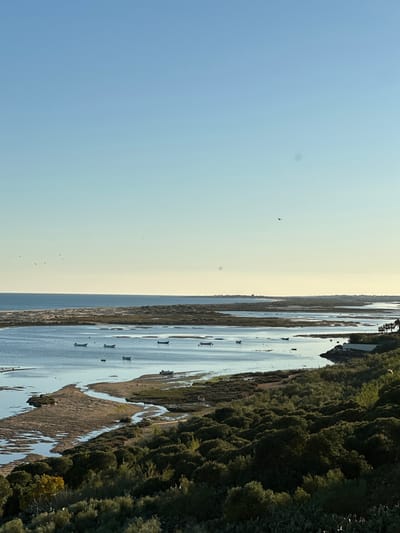 An aerial shot, tilted for perspective, reveals a waterway with numerous boats dotting the surface. Dense vegetation lines the edge of the water, transitioning from green to brown patches. The sky is divided into a light blue area on one side and a pale yellow-white on the other, with several birds visible in flight. Based on the features, the location appears to be near Vila Real de Santo António, Portugal, likely part of the Ria Formosa Natural Park.
