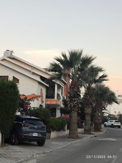 A residential street scene shows a gray Mazda SUV parked along the curb next to a white building with a solar water heater on the roof. Three palm trees line the sidewalk. A white car is parked further down the street, in front of a light-colored building. The sky is a gradient of colors, suggesting dawn or dusk. The date 23/11/2025 06:31 is printed at the bottom right.