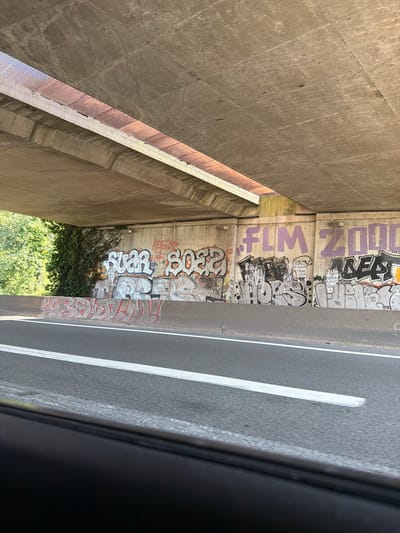 This is a vertical, eye-level, medium shot of a graffiti-covered underpass or bridge in Antony, France. The concrete structures of the underpass dominate the left and right sides of the frame, with a narrow strip of sky and trees visible in the distance at the bottom. The focus is on the graffiti art adorning the concrete walls. The artwork features large, colorful letters and stylized tags in various shades of purple, black, white, and red. Some of the visible text includes "2000," "FLM," and "SUAR SOE2." The time of day appears to be daytime, given the bright lighting and clear visibility. The scene is urban and somewhat gritty, characterized by the presence of street art and concrete architecture. No people are visible in the frame. The overall impression is one of urban decay adorned with vibrant, albeit unauthorized, artistic expression. The road surface with white lane markings is visible on the right side of the image, suggesting this is a passage for vehicles.