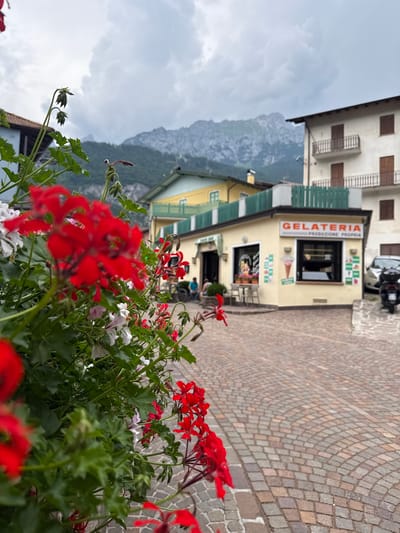 The image captures a close-up view of red and white flowers in the foreground, with a street scene in the background. The flowers are vibrant and in bloom, suggesting a pleasant season. Behind them, a narrow street paved with cobblestones curves gently. To the left of the street, there is a building with a sign that reads "GELATERIA PRODUZIONE PROPRIA," indicating an ice cream shop. The shop has a yellow facade and large windows displaying ice cream cones and other treats. Further back, mountains rise under a cloudy sky, hinting at a mountainous region. The overall scene suggests a charming Italian town, likely Molveno, Italy, given the location context. The weather appears overcast, but the presence of people in the background and the open shop suggest it's a typical day. The image evokes a sense of vacation and relaxation, with the flowers adding a touch of natural beauty to the urban setting. The time of day is difficult to determine precisely due to the overcast sky, but it appears to be daytime.