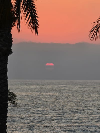 A vertical, medium shot captures a sunset over the sea, framed by palm trees on the left and right. The sun, a vibrant red disc, is partially obscured by a band of clouds just above the horizon. The sky transitions from a deep orange at the top to a lighter peach hue lower down. The sea is a choppy expanse of gray-blue water, reflecting the muted light. A large, dark palm tree trunk dominates the left side of the frame, with fronds extending into the upper left corner. Another palm frond is visible in the upper right corner. The scene appears to be a coastal area, potentially the waterfront of Hlorakas Community, Cyprus, known for its picturesque sunsets over the Mediterranean Sea. There are no people or specific landmarks visible.